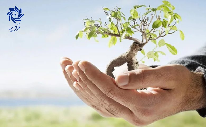 مسیر دریافت مبلغ بیمه عمر